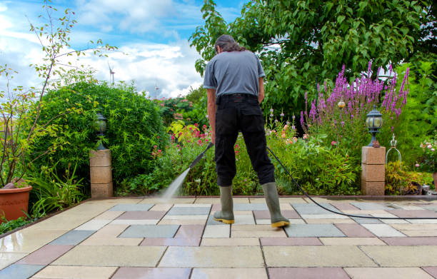 Best Sidewalk and Walkway Cleaning  in Alamo, CA